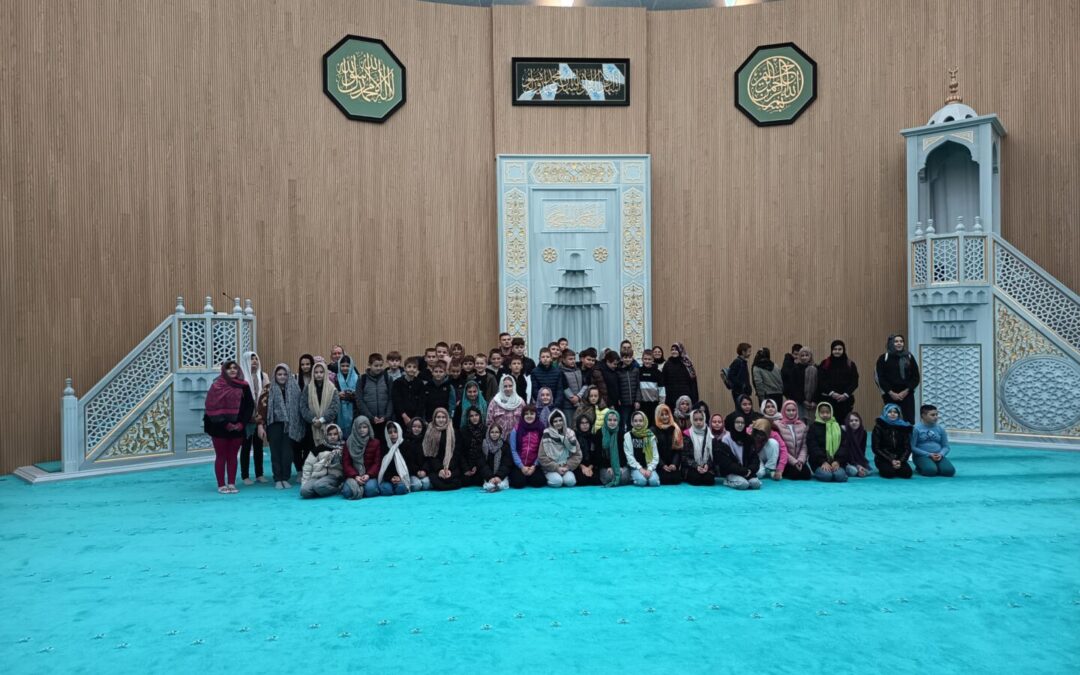 Terenska nastava petih razreda